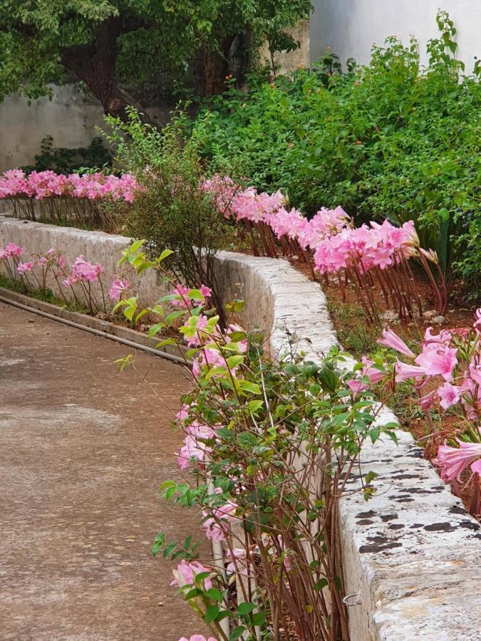 Villa Nel Salento - Ampie Camere E Giardino, Fino A 9 Persone Barbarano del Capo Exterior photo